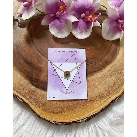 NWT Sterling Forever February Birthstone Necklace - Picture 4 of 6